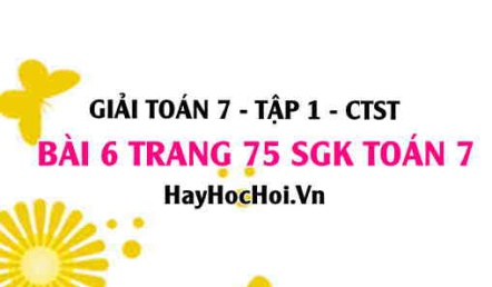 Giải bài 6 trang 75 Toán 7 Tập 1 SGK Chân trời sáng tạo